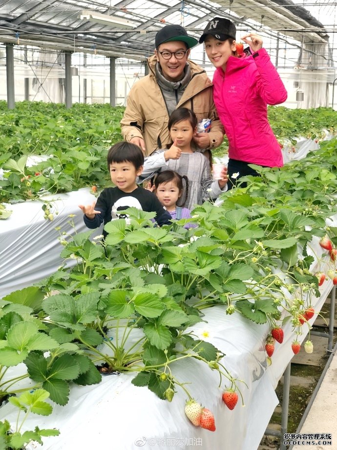 陈浩民夫妇带儿女摘草莓 一家五口幸福同框超温